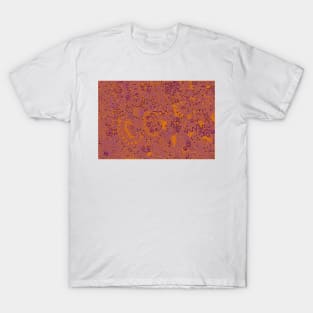 Orange and Purple Loveliness T-Shirt